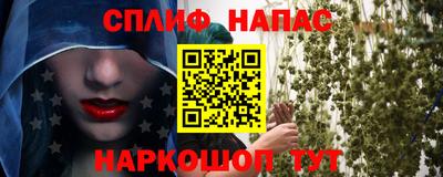 apvp Гай