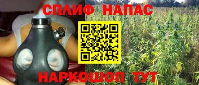 apvp Гай