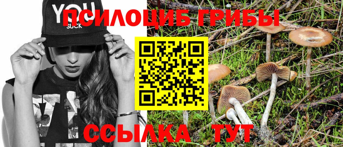 Псилоцибиновые грибы Cubensis Уссурийск