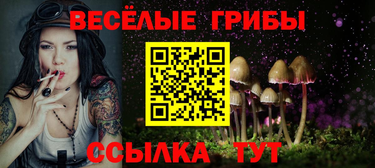 Псилоцибиновые грибы мицелий  Вход с VPN  цены   Уссурийск  Псилоцибиновые грибы ЛСД 